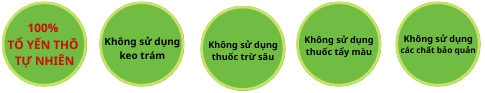 tổ hồng yến đảo thô