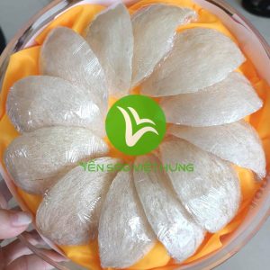 tổ yến rút lông khô nguyên tổ