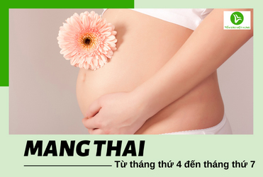 lợi ích của yến sào