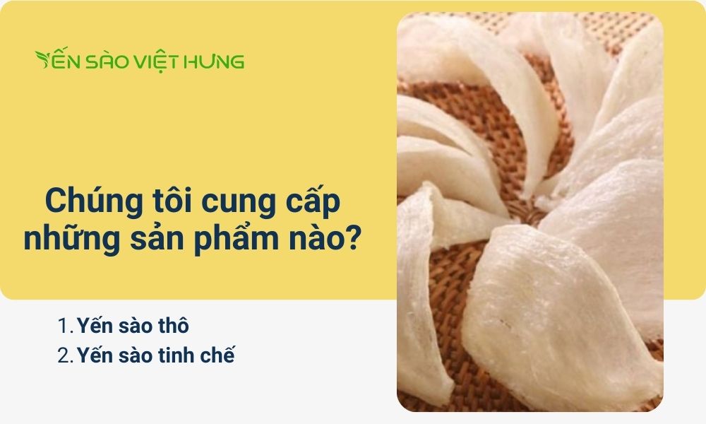 Yến Sào Việt Hưng cung cấp những sản phẩm nào?