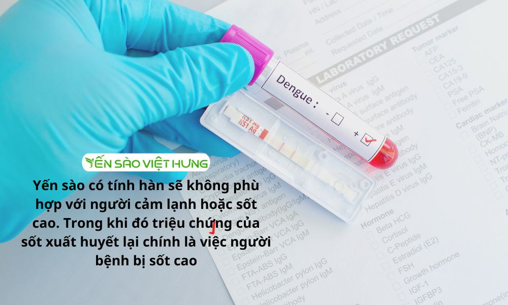 Người bị sốt xuất huyết có nên ăn yến không?