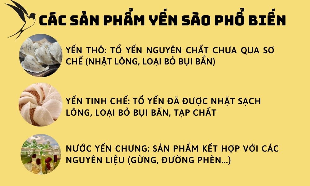 Các sản phẩm yến sào phổ biến trên thị trường