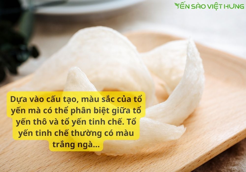 Sự khác nhau giữa yến thô và yến tinh chế