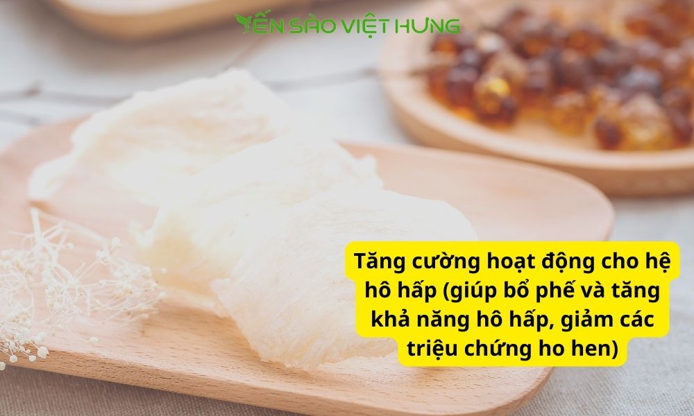 Công dụng yến sào hạt chia với hệ hô hấp